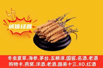 太和县回收冬虫夏草